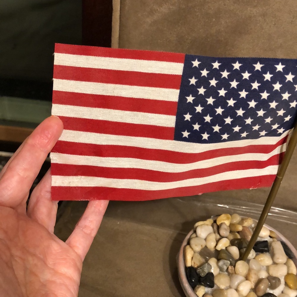 American Flag 🇺🇸 Rock Garden - Picture 6 of 7